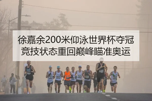 xu-jia-yu-mi-yang-yong-shi-jie-bei-duo-guan-jing-ji-zhuang-tai-zhong-hui-dian-feng-miao-zhun-ao-yun-2-297.jpg